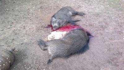 2013-04-01-043 3.JPG