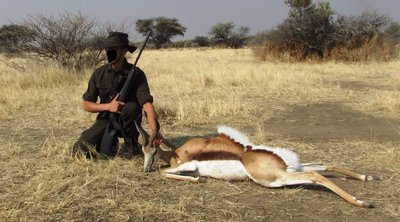 Springbok.JPG