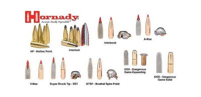 hornady bullets.jpg