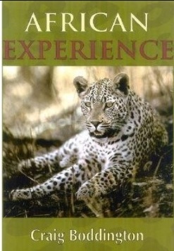 African Experience.jpg