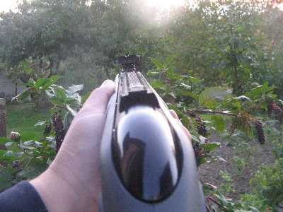 Pogled preko puške.jpg