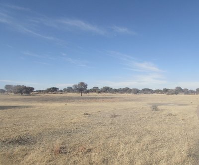 Hunting ground.JPG