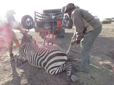 pulling by winch.JPG