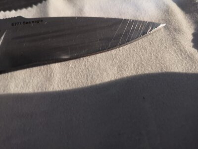 WhatsApp Image 2021-02-17 at 19.52.25.jpeg