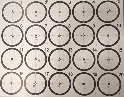 L-180-SC-L 100m 2022#11#12 SG samo tarča.jpg