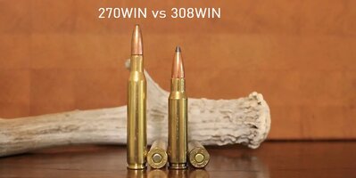 jagd 270win-308win.jpg