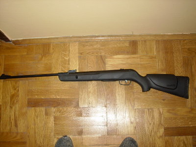 Gamo Shadov 1000