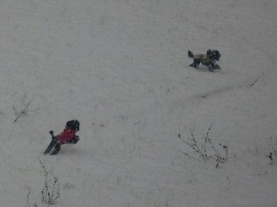 SDC12753.JPG