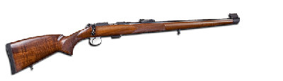cz452fs.jpg